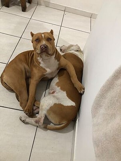 Hikari is very loving and loves being near her brother.