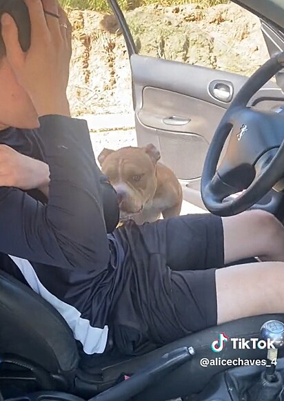 Rian was terrified when the dog jumped into the car. 