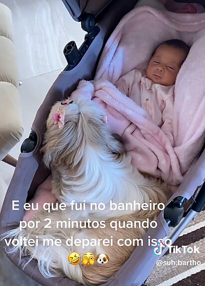 Malu in the stroller with Betina.