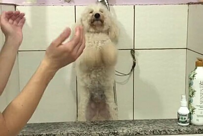 Luke claps with Alexandre in the tub.