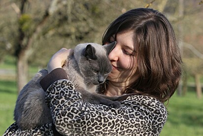 Some strategies can help make approaching your cat easier.