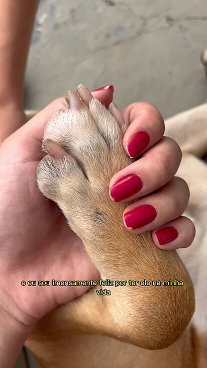 During recovery, the two created a strong connection.