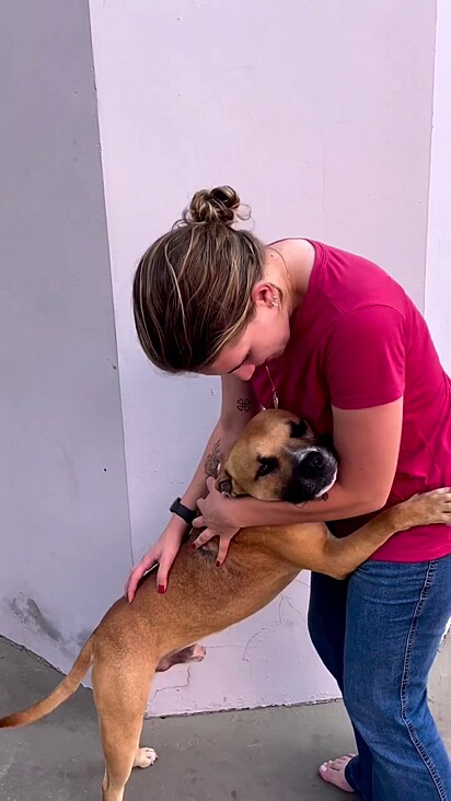 Goiaba was adopted by Mariana’s family. 