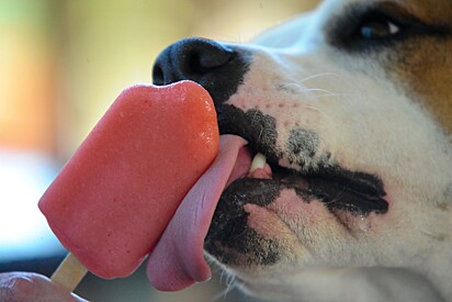 Strawberry popsicles are a great option.