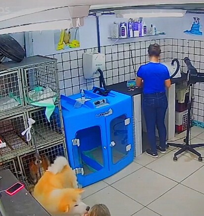 After the incident, the dog wouldn’t stop licking Sandra.