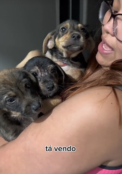 The puppies were named Britney, Tiffany, and Madonna.
