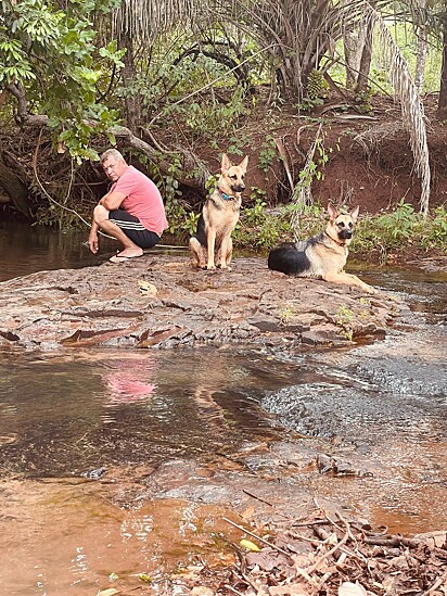Dogs don’t like the idea of staying away from Adilson.