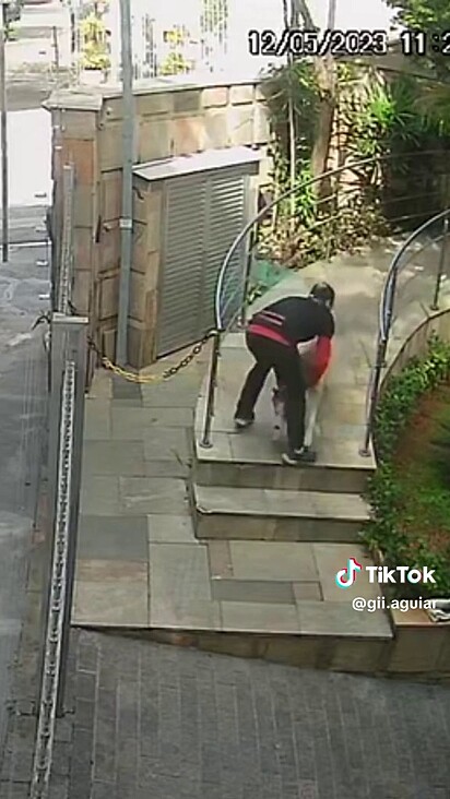 He passed between the legs of the daycare staff, knocking him to the floor. 