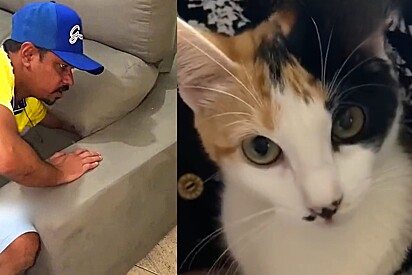 Cat hides inside couch and makes the entire family rescue her. 
