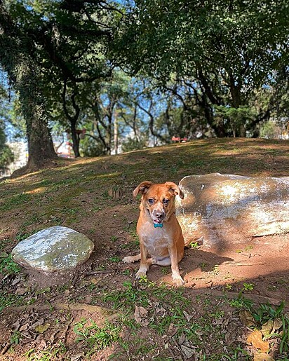 Elissa Diaz adopted him when he was five months old.