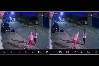 He mistook a dog on the street for his own — and nearly brought him home.