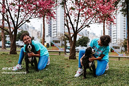 Photographer hits the streets to capture candid moments of dogs and their owners.