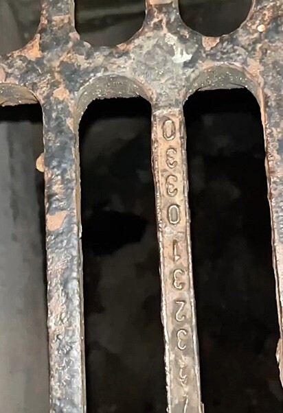 The kitten was found in the drain.