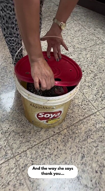 The woman arrived at the courthouse with a bucket—and inside was an unexpected gift.