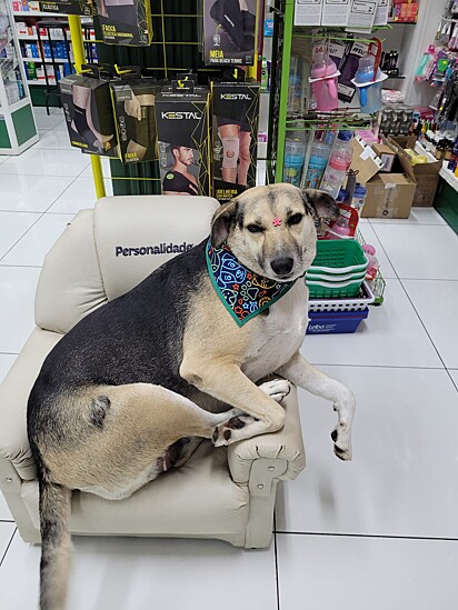 Mel is a hit wherever she goes.