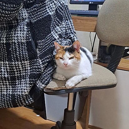 Mimi is employee #1 at Comercial Busatto. 