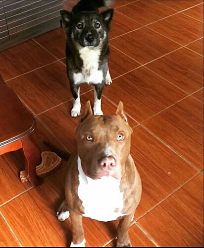 Thor and Mel.