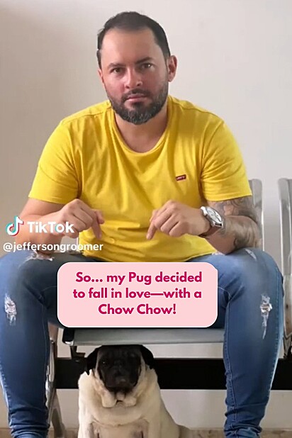 The puppies’ mom is a Pug. 