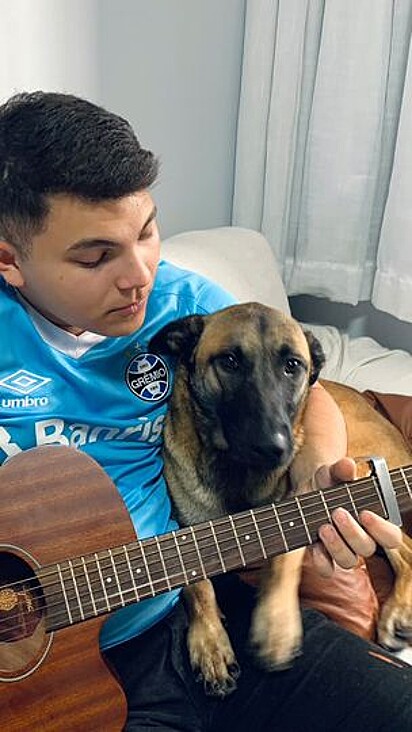Belgian Shepherd loves listening to her sister’s boyfriend play the guitar.