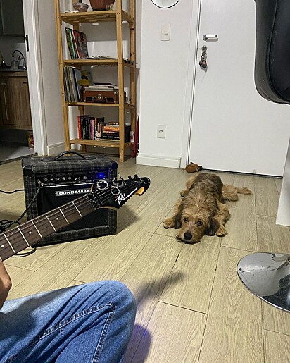 Pepe is his owner’s sweetheart. 