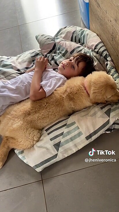 Murilo used the money from his book sales to buy a Golden Retriever.