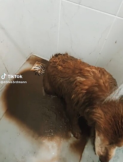 Laila had to take a bath to wash off the mud.