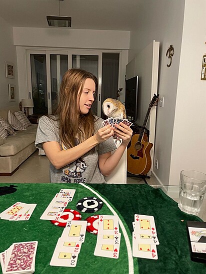 Khali the owl lives in an apartment with her owner. 