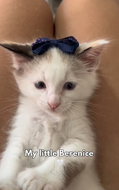 Berenice at two months old.