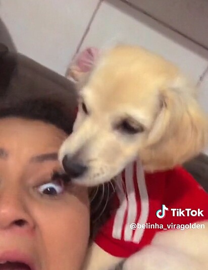 Belinha ripping off her owners false eyelashes.