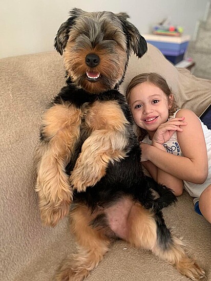 The dog that was supposed to be a small puppy grew into a giant!