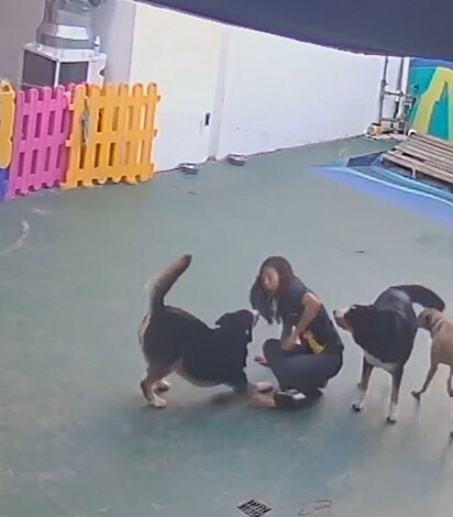 Boleta knocked Monique to the ground. 
