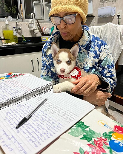 Koda, as a puppy, sitting on Grandma Maria’s lap.