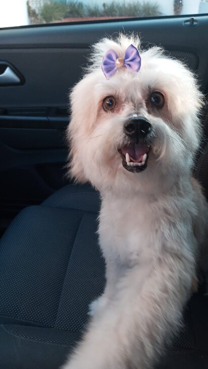 Betina is beautiful.