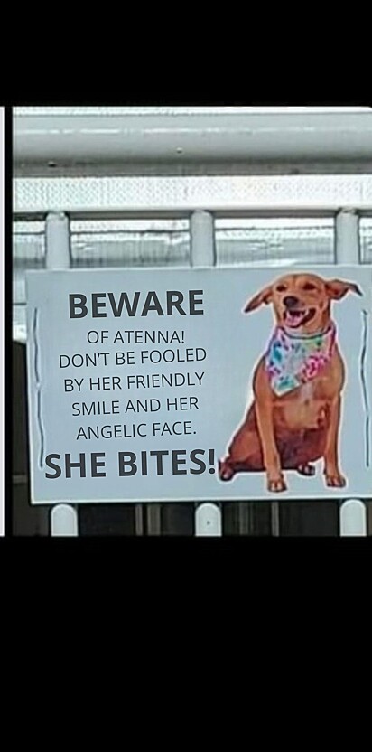 The sign.