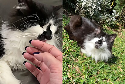 Nina was born without eyeballs. 