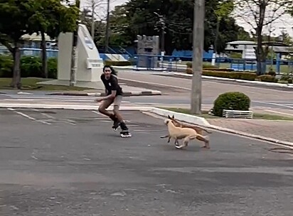 Lucas being chased by the dogs.
