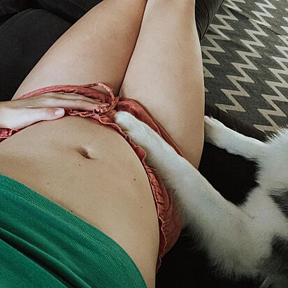 During her pregnancy, Aika became very protective of her owner.
