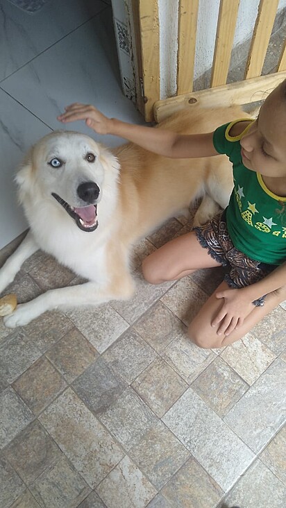 Nero loves playing with children.