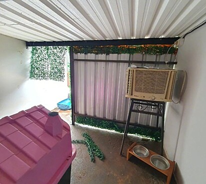 Bruna installed an AC unit in her dogs’ house.