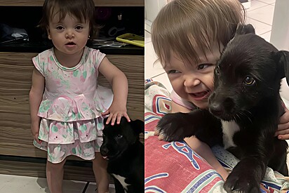 The baby and the little dog are inseparable.