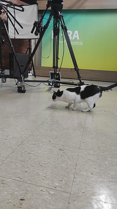 Tuti walking around the radio station’s facilities.