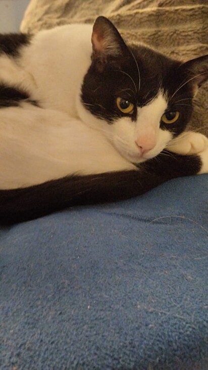 Because she spent so long living on the streets, Tuti loves to wander outdoors.