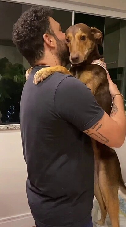The man can’t resist the dog’s plea for help.