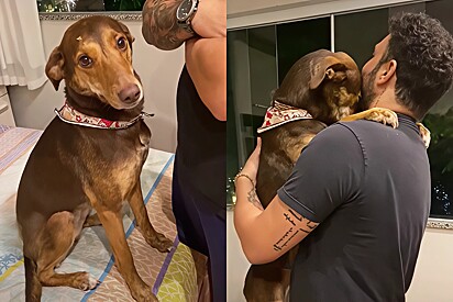 The dog runs to her dad to avoid being scolded.