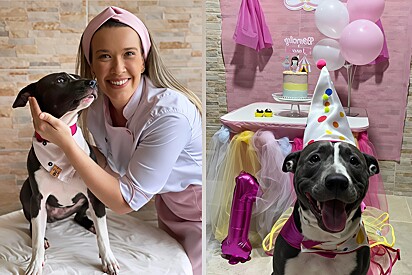 The bakery specializes in natural products for pets birthday parties.