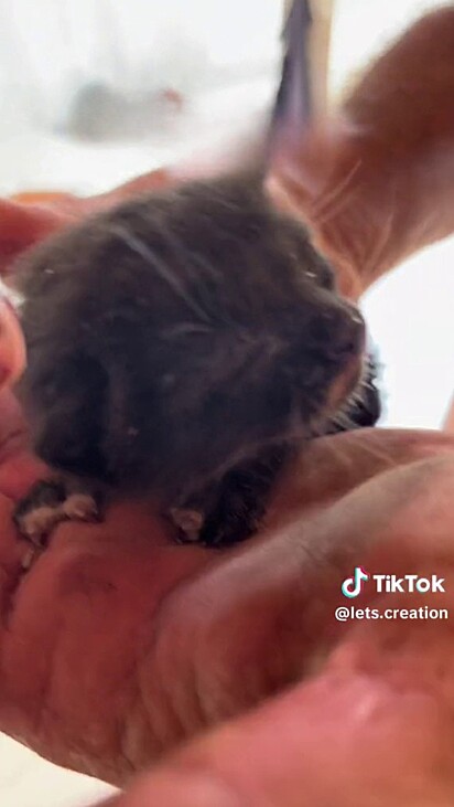 The first rescue.