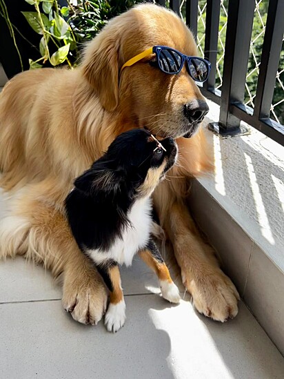 Jack and Luly.