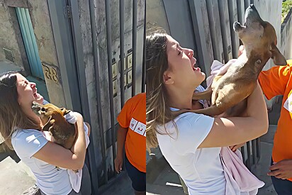Young girl has an emotional reunion with the dog who had been missing for 90 days.