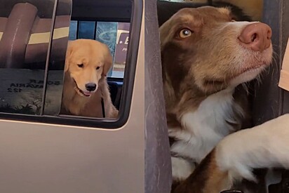 Some of Deivid’s passengers.