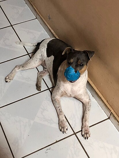 Tuto with his favorite “ball”.